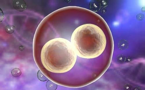 私人孕妈借卵代孕咨询微信号生殖医学中心